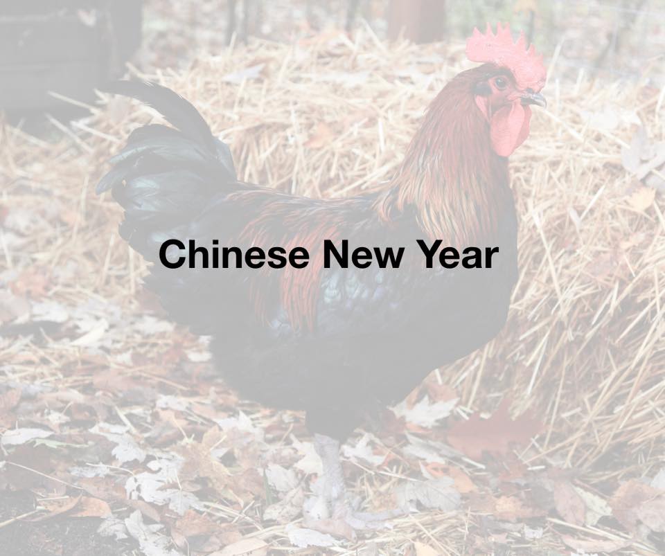 Chinese New Year of the Fire Rooster 2017