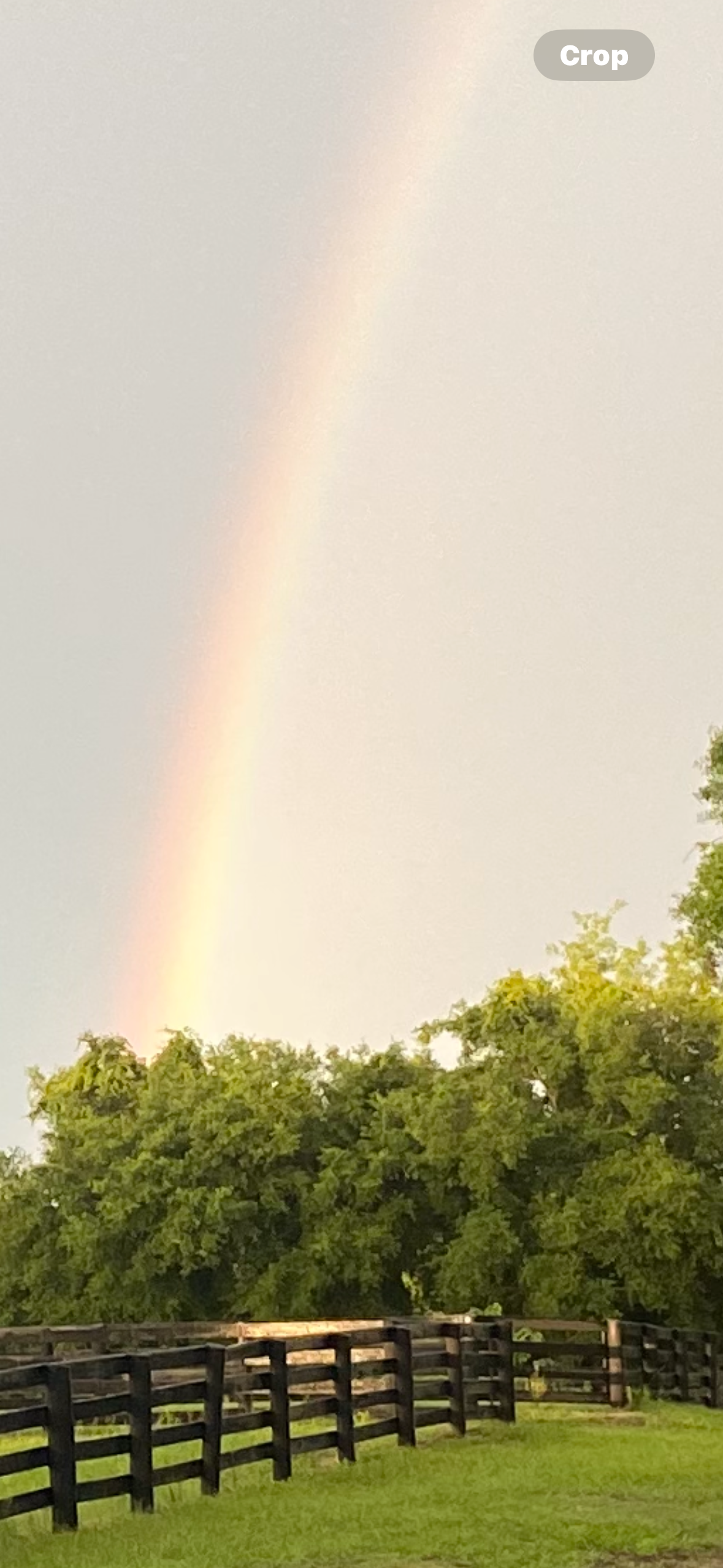 rainbow over green field with fences