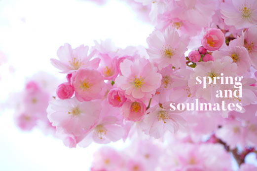 Spring, Soulmates and Questions for a Relationship Psychic