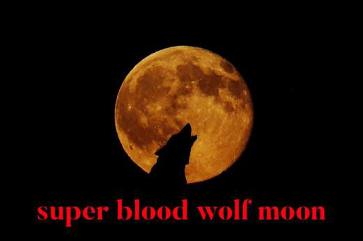 Super Blood Wolf Moon - January 21, 2019