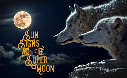 Sun Signs and the Super Blood Wolf Moon