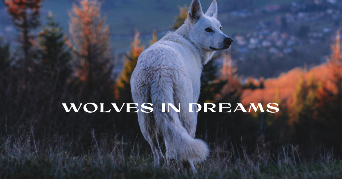 White Wolf walking away with text "Wolves in Dreams"
