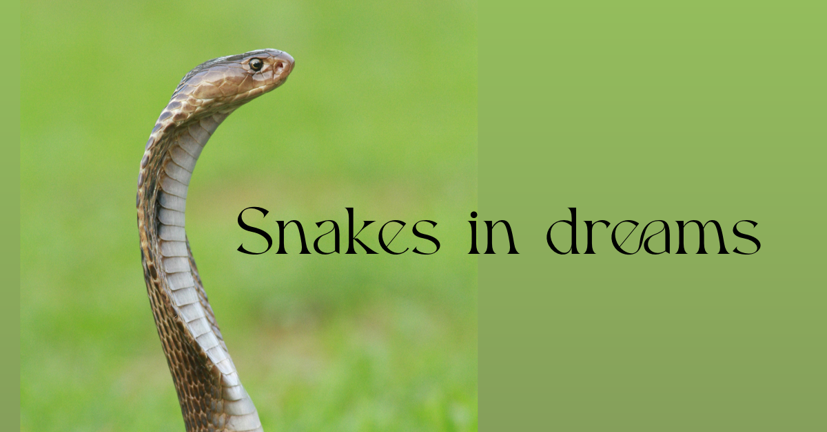 Snake on green background with text "Snakes in Dreams"