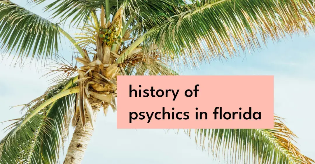 Palm tree with text "History of psychics in Florida"