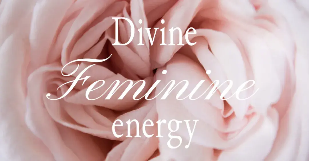 pink rose opening with text "Divine feminine energy"