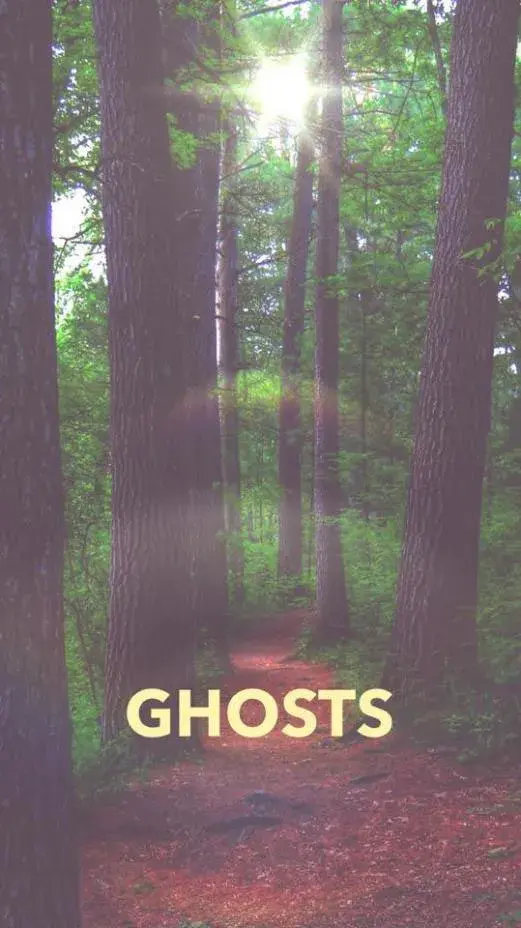 Forest view with orbs dancing around trees with the text "ghosts"