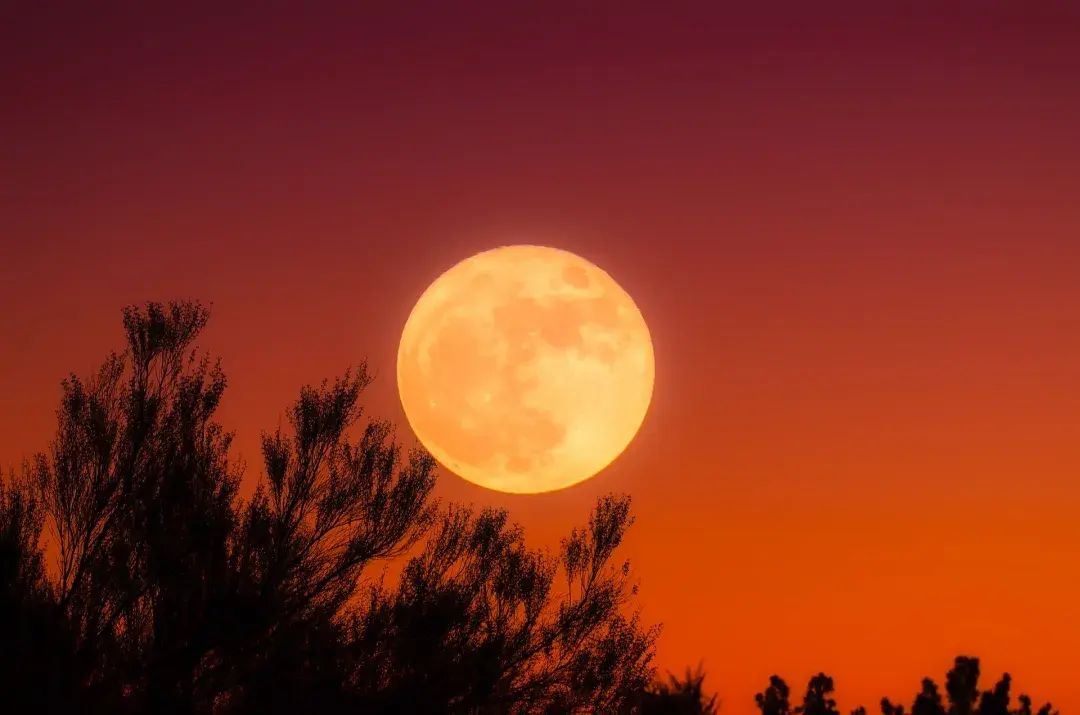 Autumnal Rituals: What Is the Meaning of the September Equinox? 