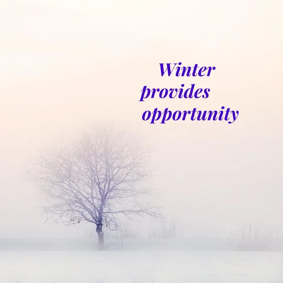 Beating the winter blues by Sun Sign 