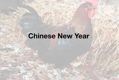 Chinese New Year of the Fire Rooster 2017