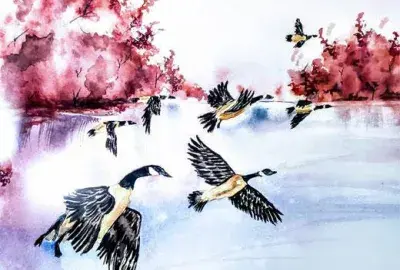 watercolor painting of an icy lake with Canada Geese flying over