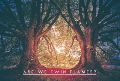 two trees interconnected mirroring each other with text "are we twin flames?"