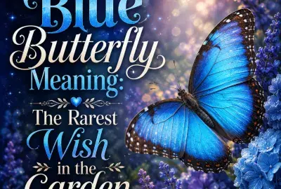 Blue butterfly meaning illustration showing a vivid blue butterfly as a spiritual symbol of hope, transformation, rare opportunities, and wishes coming true.