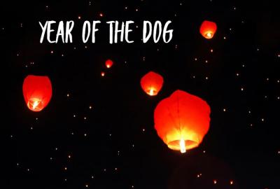 2018 Year of the Dog - Happy Chinese New Year! 