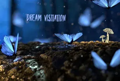 Blue underwater image with text Dream visitation