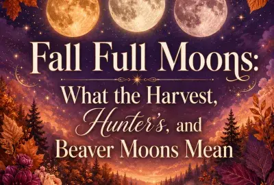 Fall full moons over an autumn landscape with colorful leaves and flowers.