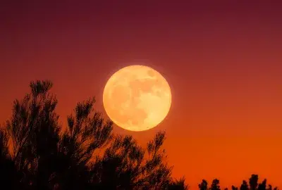 Autumnal Rituals: What Is the Meaning of the September Equinox?