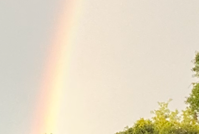 rainbow over green field with fences