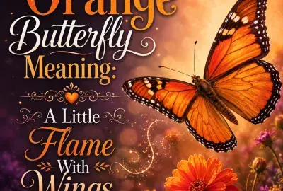 Orange butterfly meaning illustration showing an orange butterfly as a spiritual symbol of transformation, creativity, courage, joy, and positive change.