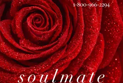 Close-up red rose representing soulmate love, emotional connection, and romantic relationship energy