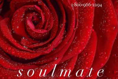 Where is my soulmate? Who is my soulmate?