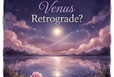 Venus retrograde dates: the evening star traces a loop over a moonlit lake beside a pink rose