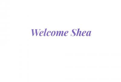 Welcome Shea!