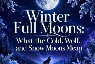 Winter full moon above a snowy forest with a wolf beneath icy branches.