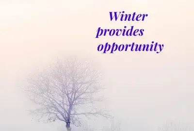 Beating the winter blues by Sun Sign