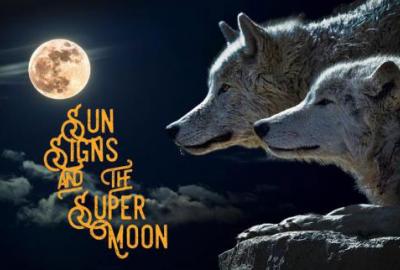 Sun Signs and the Super Blood Wolf Moon