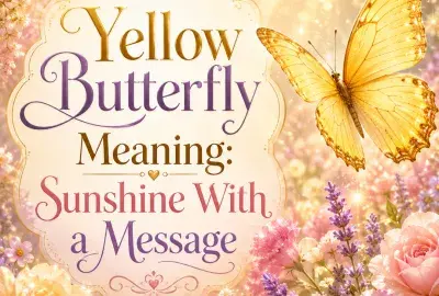 ellow butterfly meaning illustration showing a yellow butterfly as a spiritual symbol of joy, hope, optimism, transformation, and positive change.