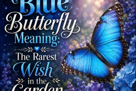 Blue butterfly meaning illustration showing a vivid blue butterfly as a spiritual symbol of hope, transformation, rare opportunities, and wishes coming true.