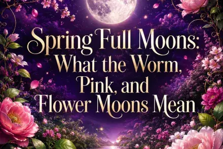 Spring full moon glowing above a colorful garden of pink flowers.