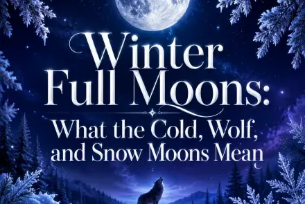 Winter full moon above a snowy forest with a wolf beneath icy branches.